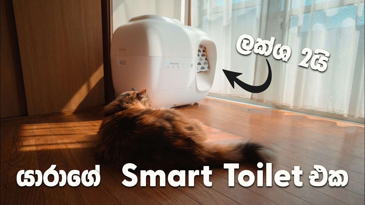 PetSnowy - Self Cleaning Litter box එක සුපිරි