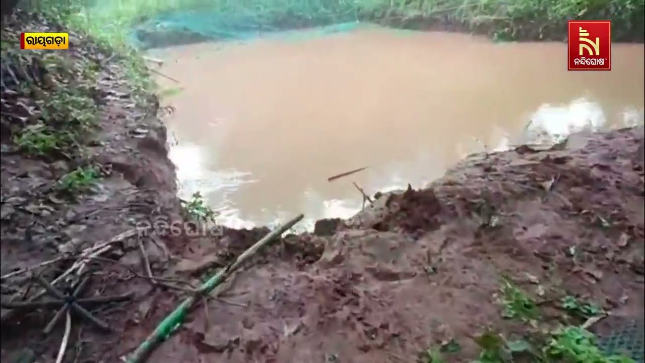 ରାୟଗଡ଼ାରେ ହାତୀ ଉପଦ୍ରବକୁ ନେଇ ଭୟର ବାତାବରଣ । ଗାଁ ମୁହାଁ ହ?