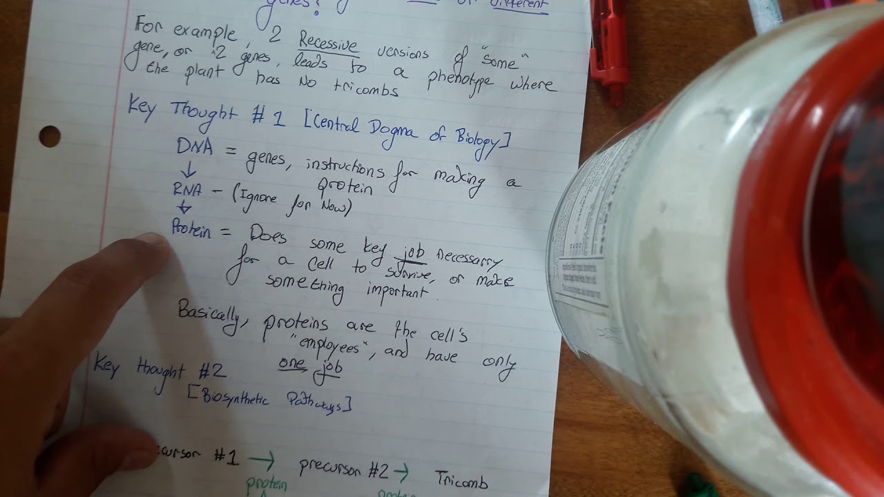 Problem 42 (Part A) - Complementation Test