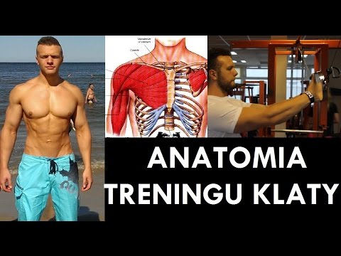 Ćwiczenia dla wiodących i porywacz mięśni ud Jak podkręcić biceps plecy