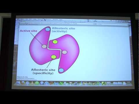 #40 Biochemistry Nucleotide Metabolism II Lecture for Kevin Ahern's BB 451/551