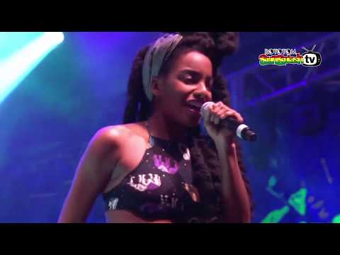 KIRIL DJAIKOVSKI ft Mc WASP & TK WONDER live @ Main Stage 2015