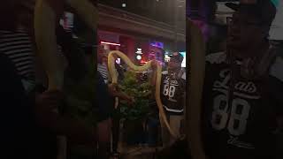 クアラルンプールで蛇遣いを発見！#shorts #マレーシア観光 #海外生活 #travel