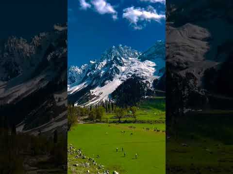 #piano #pianomusic #relaxingmusic #youtube #youtubeshorts #trending #creative ideas G #VIRAL