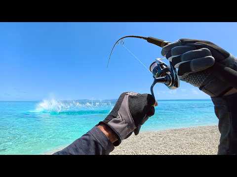 The Ultimate 48HR Fishing Adventure on the World’s Largest Reef