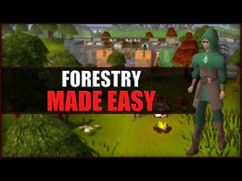 Quick Guide to Forestry in OSRS