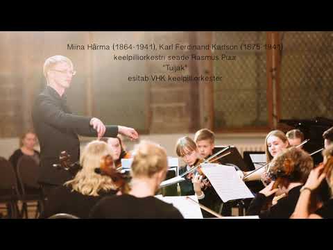 VHK keelpilliorkester - "Tuljak"