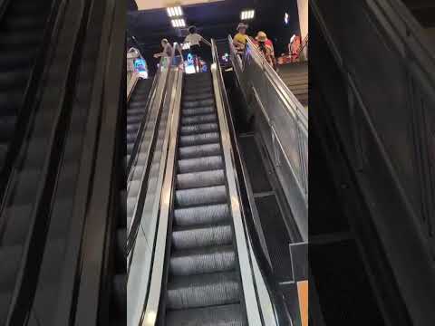 aparecida são paulo 2025