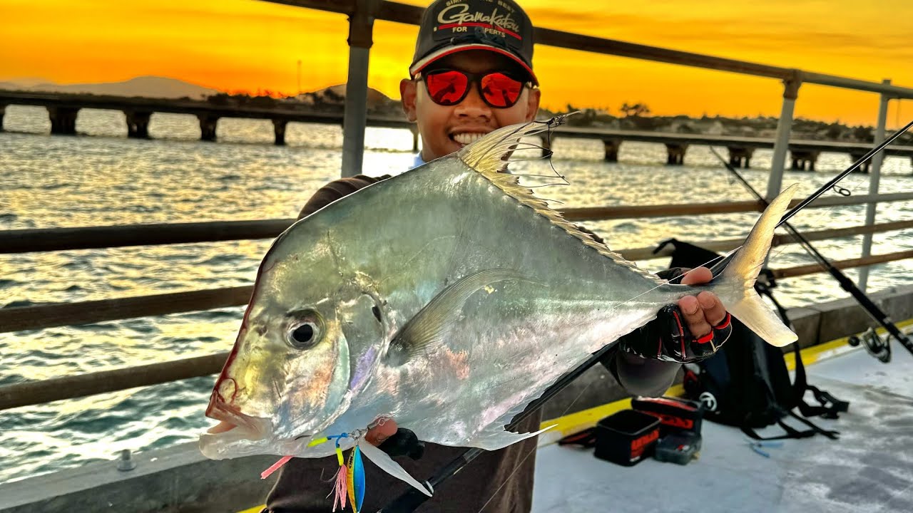 PENGHUNI JETI (Bowen fishing queensland)