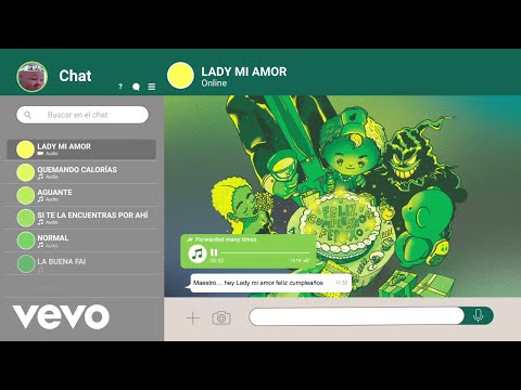 Video thumbnail for Lady Mi Amor