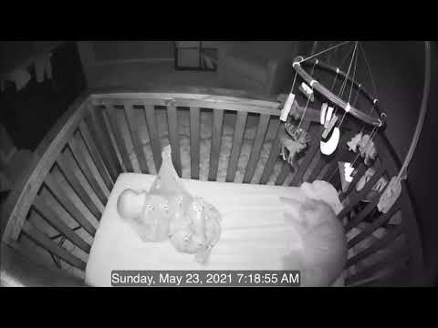 Cat Climbs Into Baby Crib, Enjoys a Nap Next to Baby Then Play With Mobile