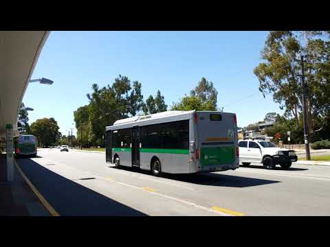 Transperth TP0107 & TP2456 Departs Curtin University Bus Station