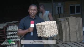 Recyclage: Du papier...aux alvéoles. (#027)
