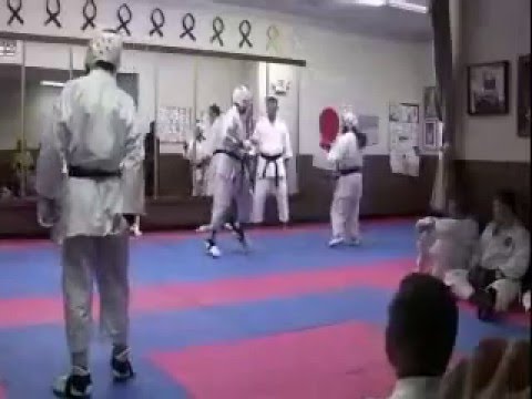 Shotokan Karate Highlights