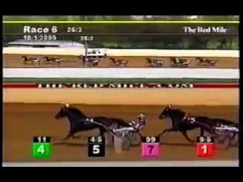2005 Red Mile Lexington STRONG YANKEE Kentucky Futurity 1st Heat Brian Sears