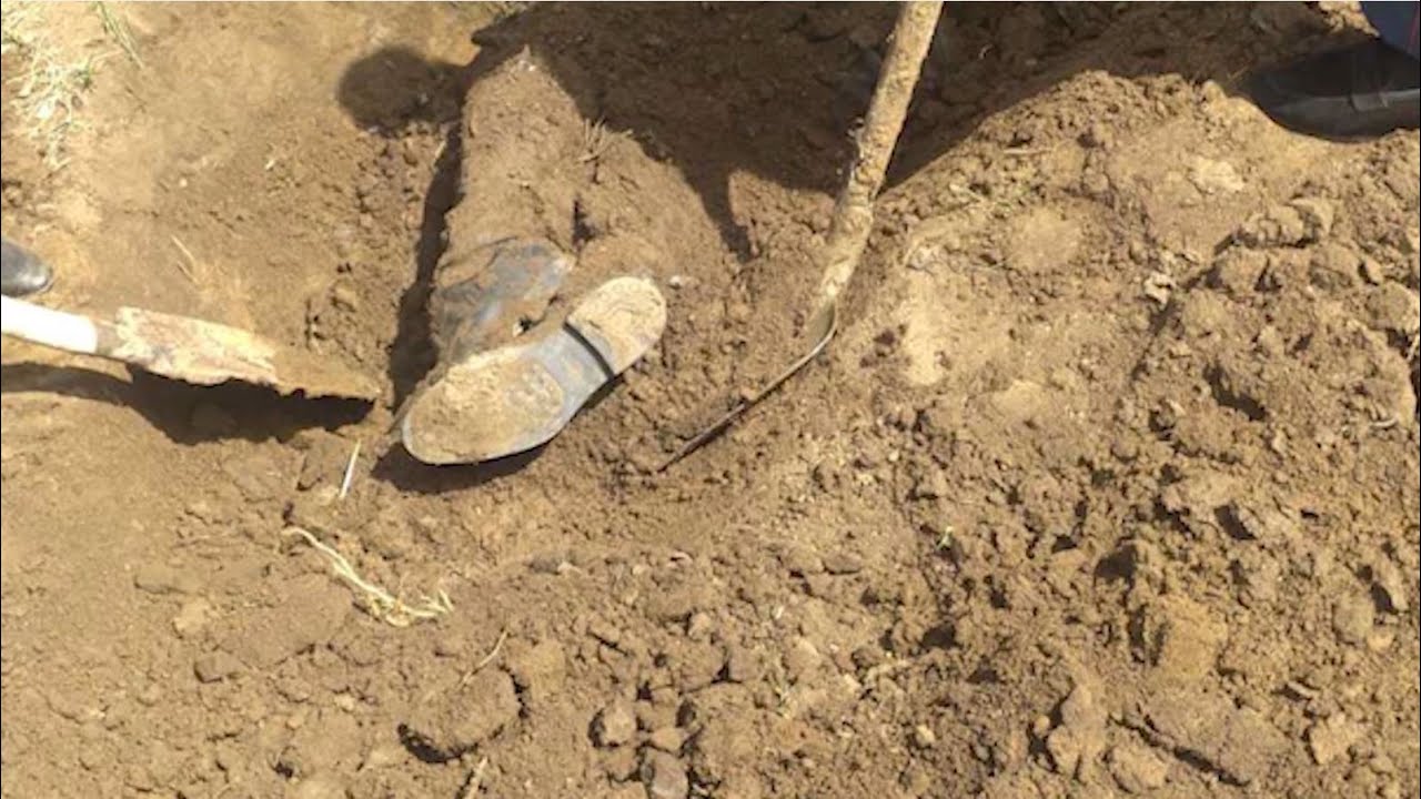 Ոստիկանները բացահայտել են Կոտայքի մարզում կատարված սպանությունը