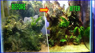 Cara Menghilangkan Alga Menggunakan H2O2 (Hidrogen Peroksida)