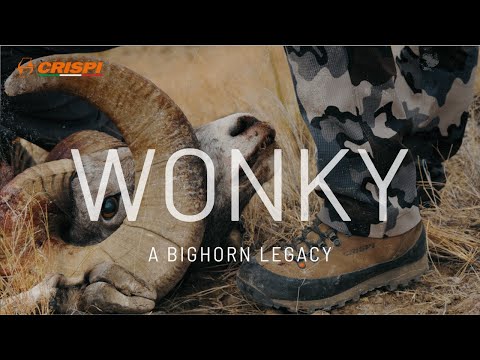 WONKY | A Bighorn Legacy