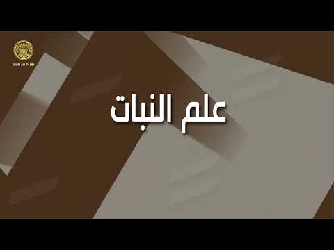 ⁣تعرف على أول دراسة علمية للنبات