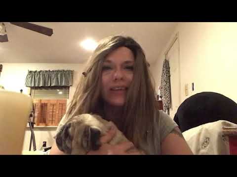 Wig Shop Video Diary Episode 1 The struggle is real.