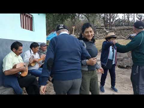 AGRUPACIÓN MUSICAL SENTIMIENTO CACHORINO EN MOYORCCO