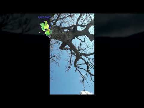 A Gioia dei Marsi (Casali d'Aschi) manutenzione sentieri montani con il CAI Vallelonga - 7/4/2022