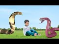 saamp wala video || snake video || short movie ||