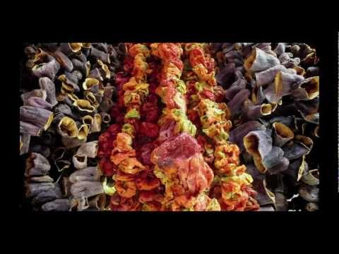 Panasonic Lumix LX5 CCD🌈 Leica Vario-Summicron💥 - Image 2