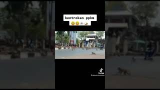 Download lagu STORY WA LUCU BENTROKAN SAAT PPKM mp3