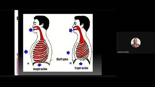 Volumenes Pulmonares_Fisiología del Sist  Respiratorio