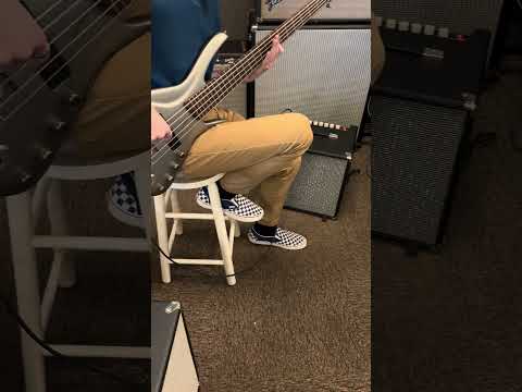 Ibanez Ergodyne EDA 905 Silver Flat 5-String image 15