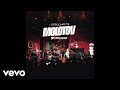 Molotov - Cerdo (Audio/MTV Unplugged)