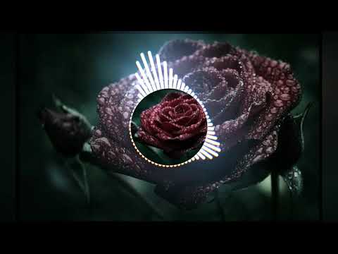 SAINt JHN - Roses (DJ 3CT0R Remix 2021)