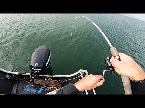 Blackfish and Striper Jigging with Underwater View!