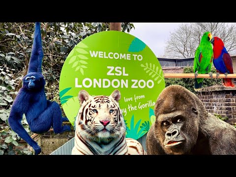 London Zoo 4K 2023