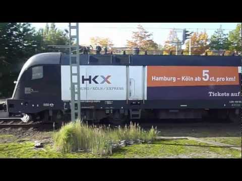 Taurus macht Musik ! Taurus Tonleitern, 100. Video !