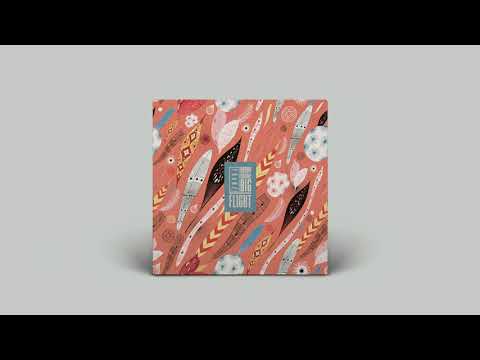 Bobby Dreamz BIG, FRANZ - Flight