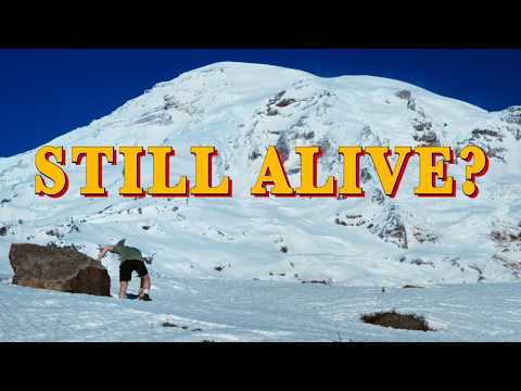 Why Don't We Die More Often?