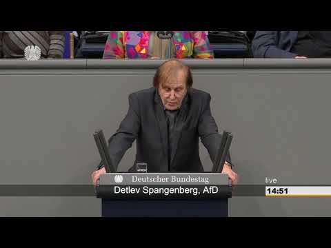 Detlev Spangenberg: Vereinbarte Debatte Organspende [Bundestag 28.11.2018]