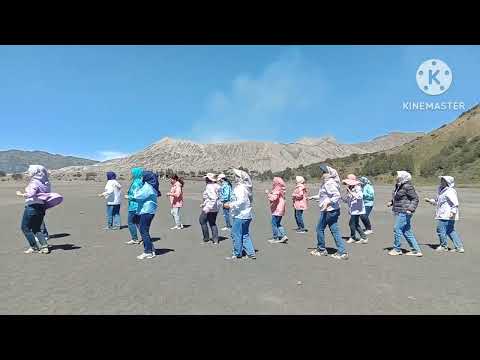 LIVING ON LOVE AB - Line Dance / Lindsay Ryan (AUS) / Demo : Indiladies