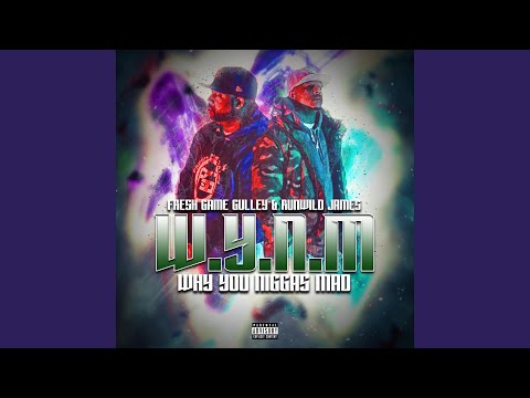 Why You Niggas Mad (feat. Runwild James)
