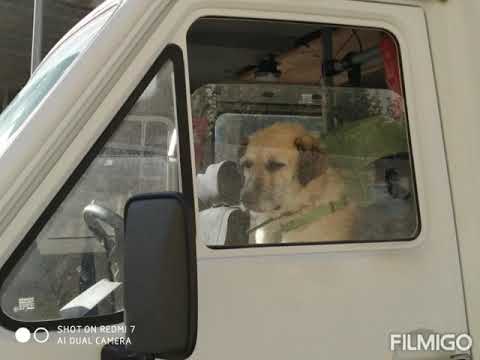 Colectivo Nostalgia - La Moda