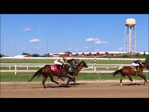 Grand Prix wins the New Start Stakes