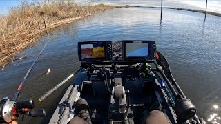 A New Confidence bait this Spring