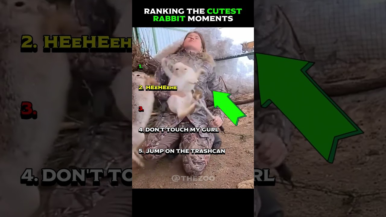 Ranking The Cutest Rabbit Moments 😋