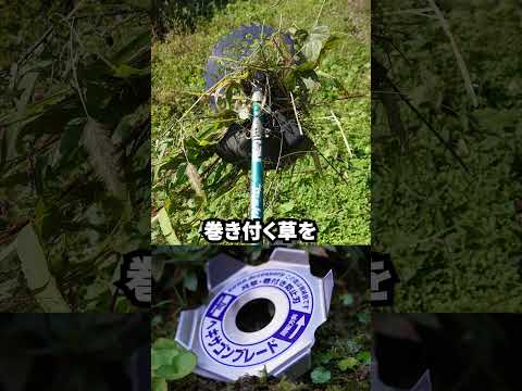 なぜ3月に草刈りをしないのか？冬が終わってから初めて行うのはいつですか？少し待ってからの3つのメリット！  庭園