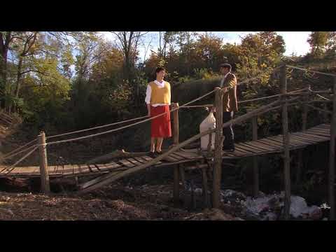 Me çka e ka denu katuni msusin qe ja ka bo like tetes Gjyli ? stupcat egjeli