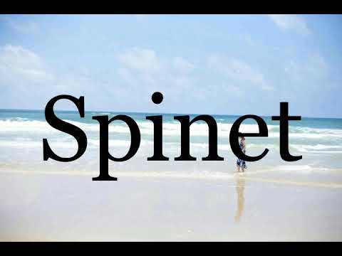 How To Pronounce Spinet🌈🌈🌈🌈🌈🌈Pronunciation Of Spinet