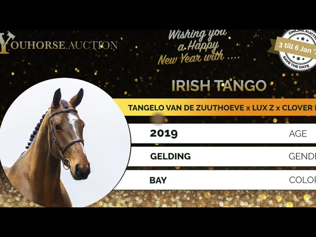 Irish Tango showvideo indoor