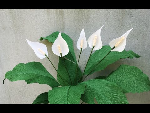 ABC TV | How To Make Peace Lily Paper Flowers From Crepe Paper - Craft Tutorial